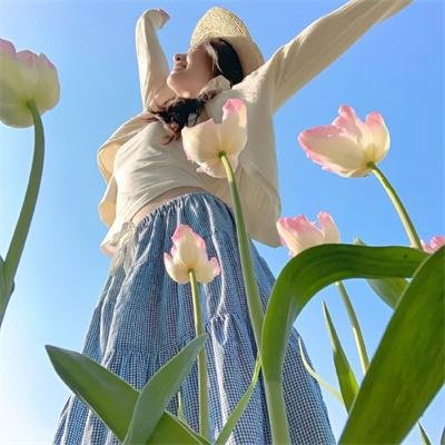 再会吧!青春小鸟