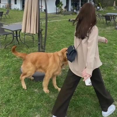 我家不打烊